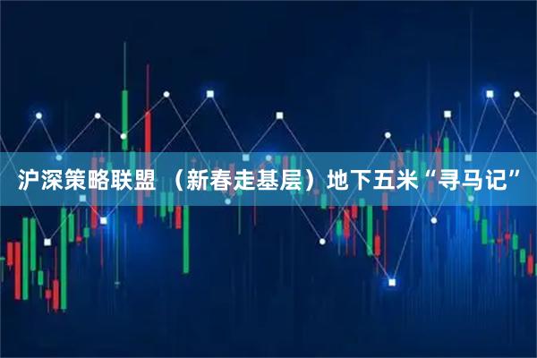 沪深策略联盟 （新春走基层）地下五米“寻马记”