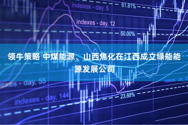 领牛策略 中煤能源、山西焦化在江西成立绿能能源发展公司