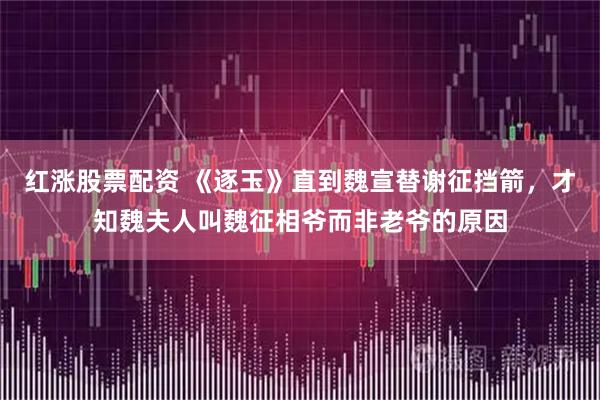 红涨股票配资 《逐玉》直到魏宣替谢征挡箭，才知魏夫人叫魏征相爷而非老爷的原因