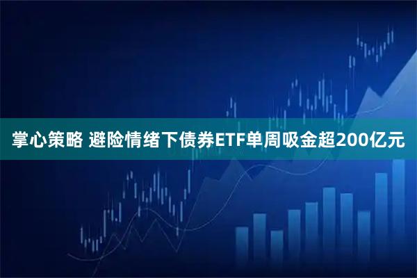 掌心策略 避险情绪下债券ETF单周吸金超200亿元