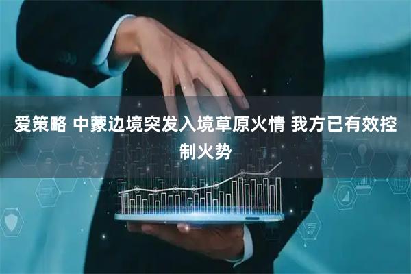爱策略 中蒙边境突发入境草原火情 我方已有效控制火势