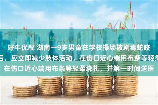 好牛优配 湖南一9岁男童在学校操场被剧毒蛇咬伤，医生：被毒蛇咬伤后，应立即减少肢体活动，在伤口近心端用布条等轻柔绑扎，并第一时间送医