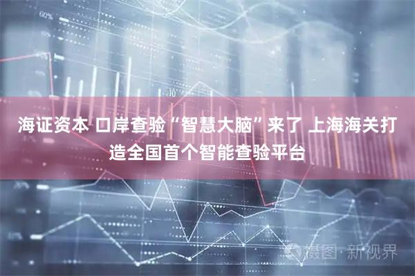 海证资本 口岸查验“智慧大脑”来了 上海海关打造全国首个智能查验平台