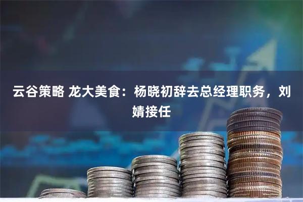 云谷策略 龙大美食：杨晓初辞去总经理职务，刘婧接任
