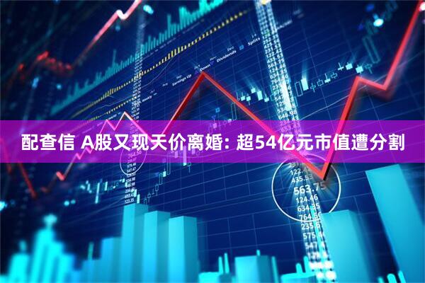 配查信 A股又现天价离婚: 超54亿元市值遭分割